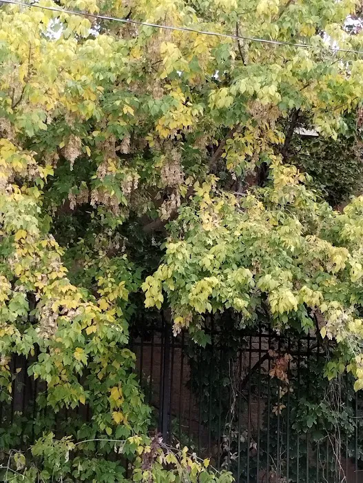 Millcreek Mobile Homes Picture 5