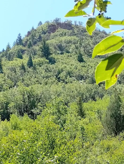 Millcreek Mobile Homes Picture 2