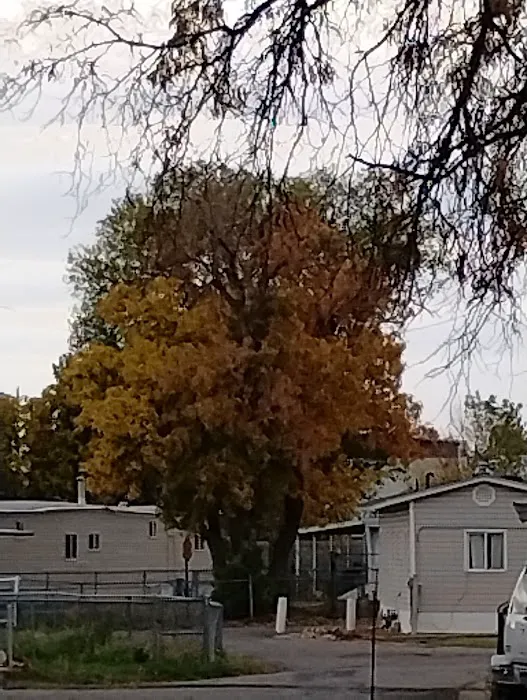 Millcreek Mobile Homes Picture 7