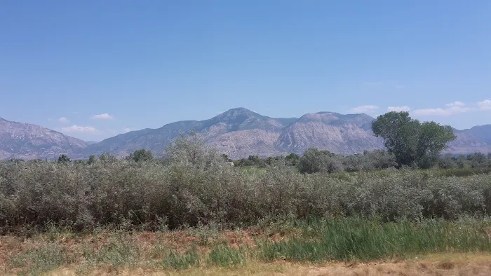 Westwood Village Picture 9