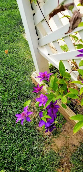 Westwood Village Picture 3