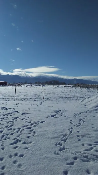 Carter's RV Park Picture 6