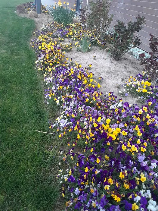 Wasatch View Estates Picture 2