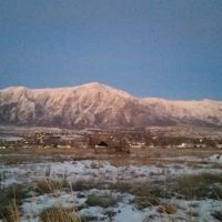 Wasatch View Estates ico