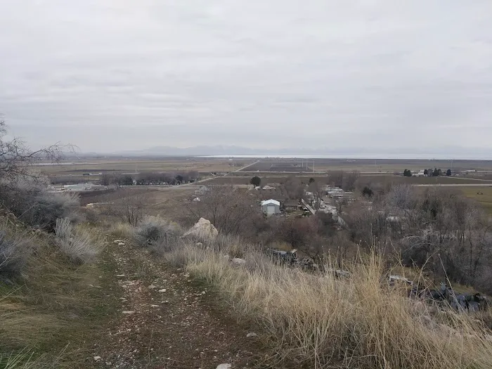 Coleman Mobile Home Court Picture 1