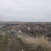 Coleman Mobile Home Court ico