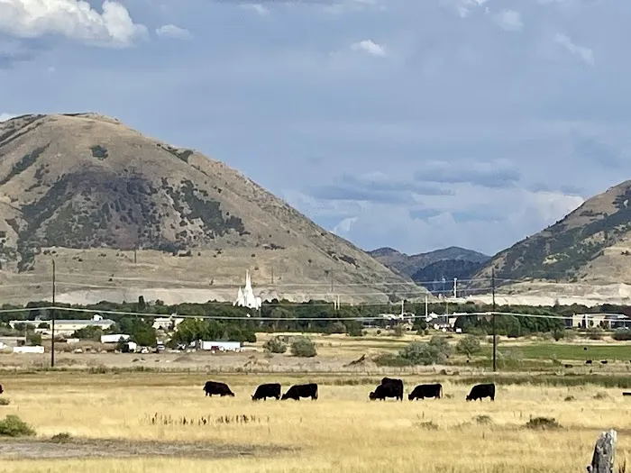 Love's RV Stop Picture 6