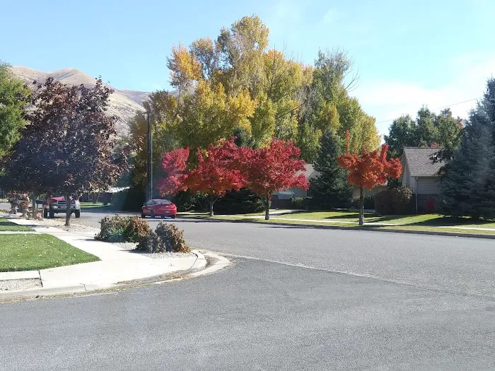 Brigham Village Picture 2