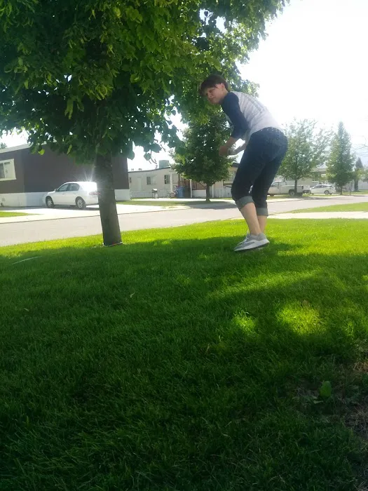 Spring View MHP Community Picture 4