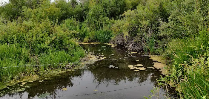 Logan River Estates Picture 9