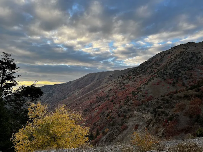 Logan River Estates Picture 2