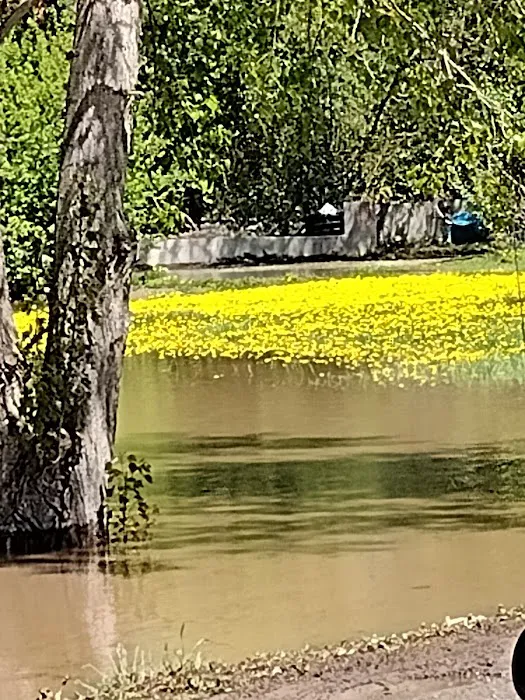 Creekside RV Park Picture 2