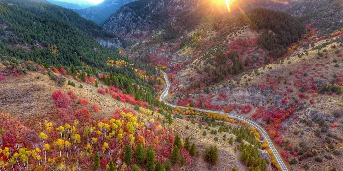 Creekside RV Park Picture 8