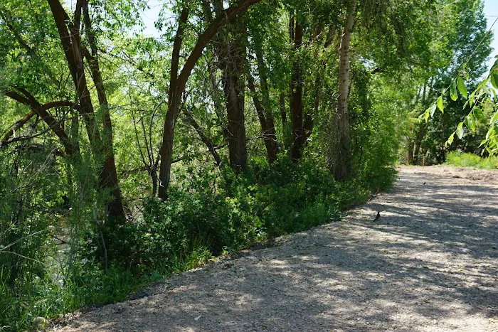 Creekside RV Park Picture 9