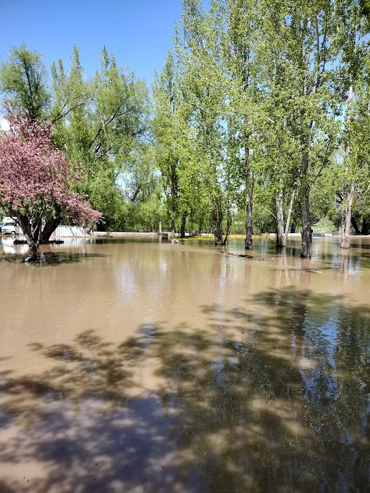 Creekside RV Park Picture 6