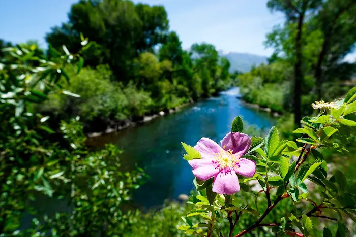 Creekside RV Park Picture 3