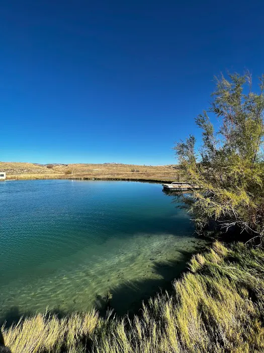 Belmont Hot Springs RV Park Picture 3