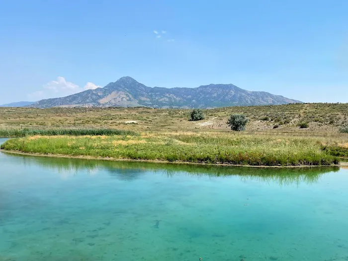 Belmont Hot Springs RV Park Picture 9