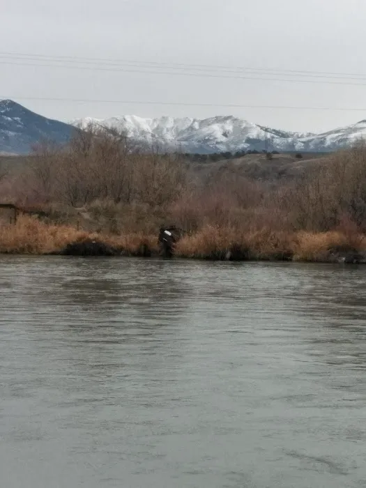 Riverside RV Picture 4