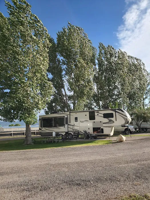 Downey City RV Park Picture 3