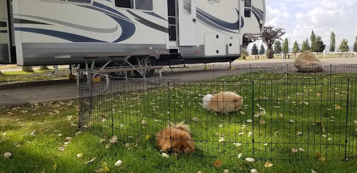 Downey City RV Park Picture 1