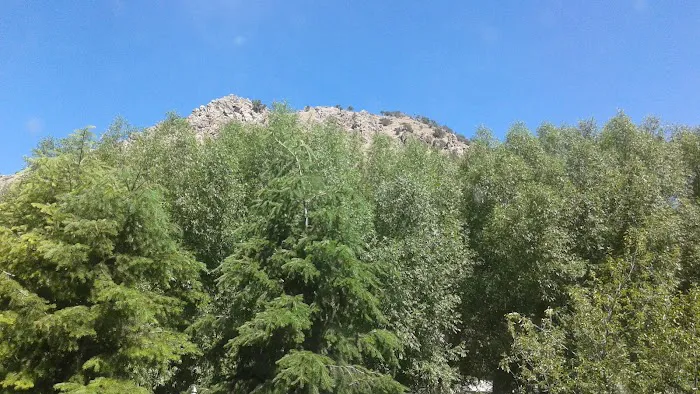 Mary's Place Campground Picture 8