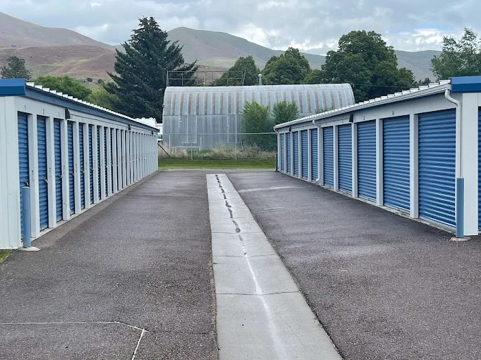 The Flamingo Picture 8