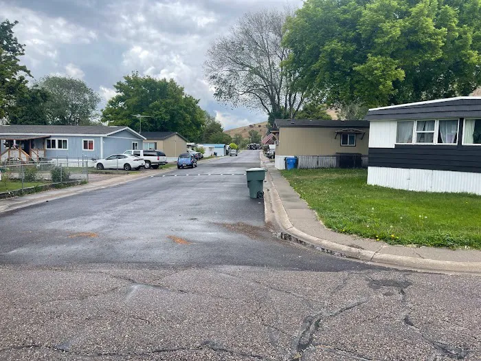 The Flamingo Picture 3