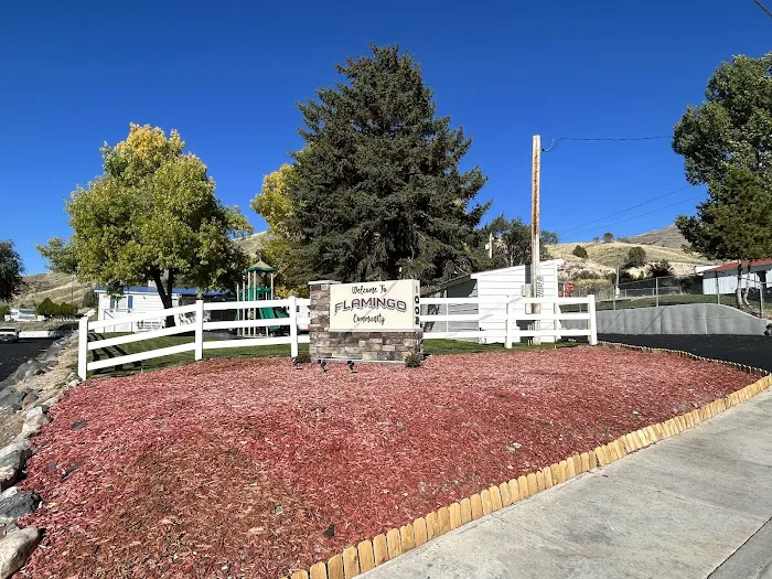 The Flamingo Picture 7