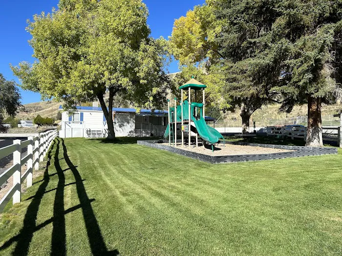 The Flamingo Picture 4