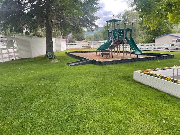 The Flamingo Picture 6