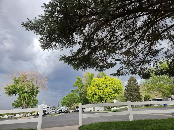 Cowboy RV & Mobile Home Park Picture 4