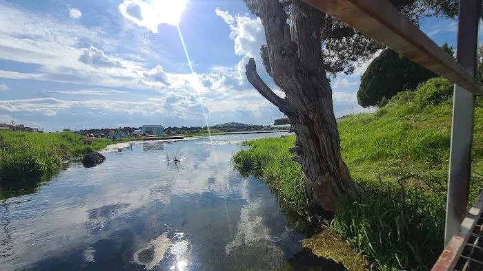 Cedar Bay Marina RV Park & Cafe Picture 1