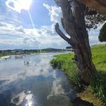 Cedar Bay Marina RV Park & Cafe