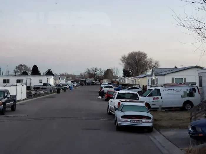 Dynasty Court Picture 5