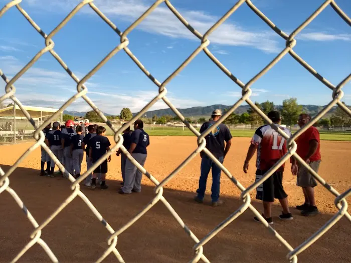 Dynasty Court Picture 1