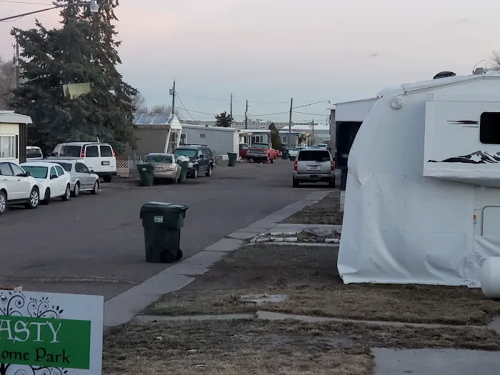 Dynasty Court Picture 2