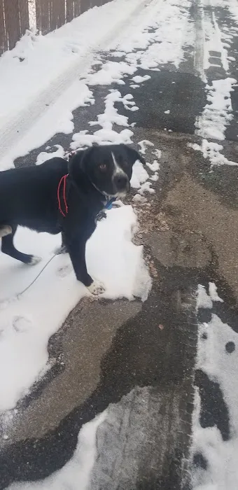 Belaire Estates Mobile Home Park Picture 5