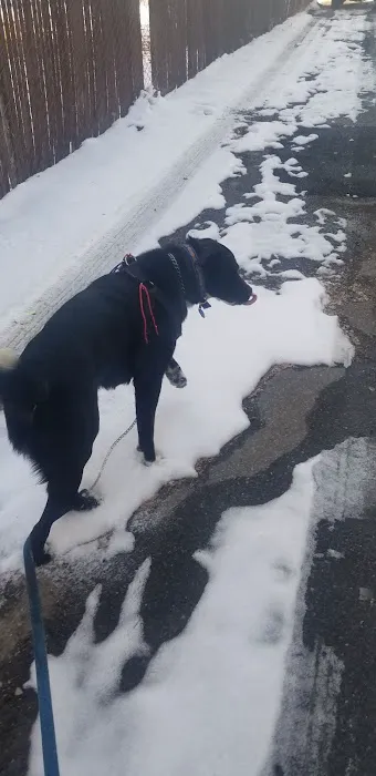 Belaire Estates Mobile Home Park Picture 4