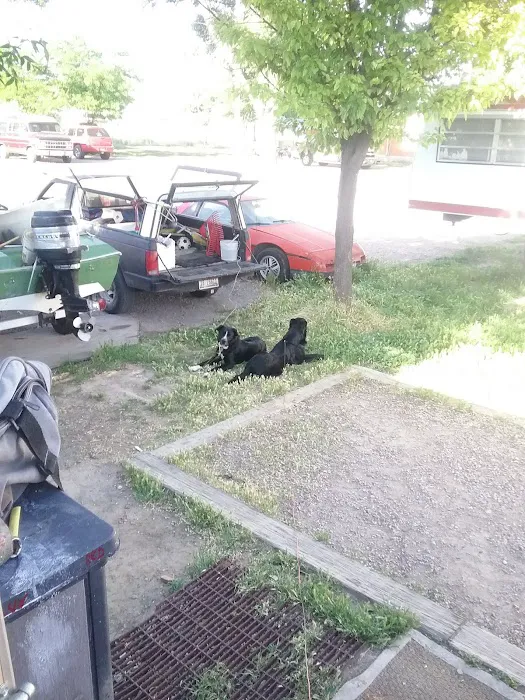 Budget Rv Park Picture 5