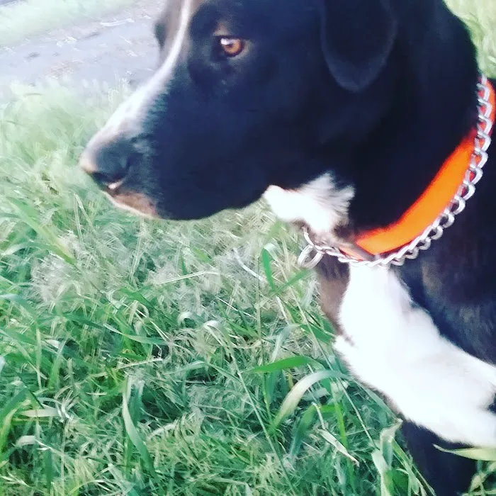 Budget Rv Park Picture 10