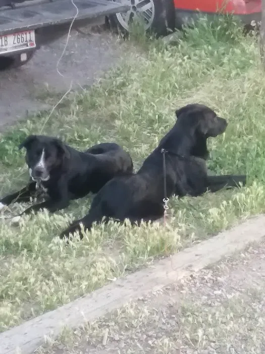 Budget Rv Park Picture 9