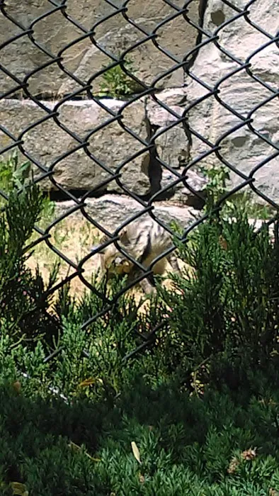 High Country Picture 5