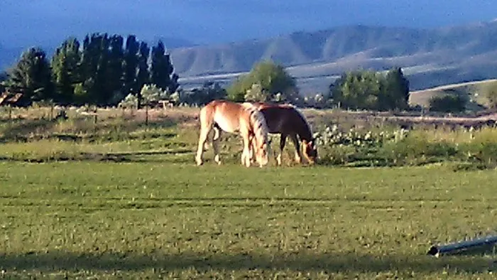 High Country Picture 4