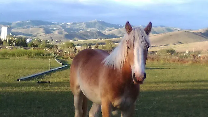 High Country Picture 1