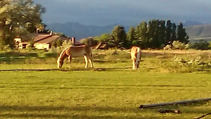 High Country Picture 2