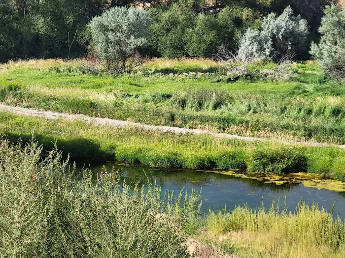 Batise Springs RV Park Picture 8