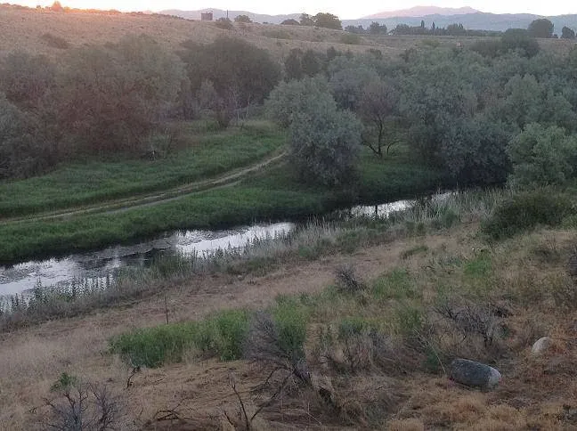 Batise Springs RV Park Picture 5