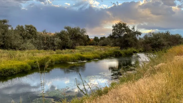 Batise Springs RV Park Picture 3