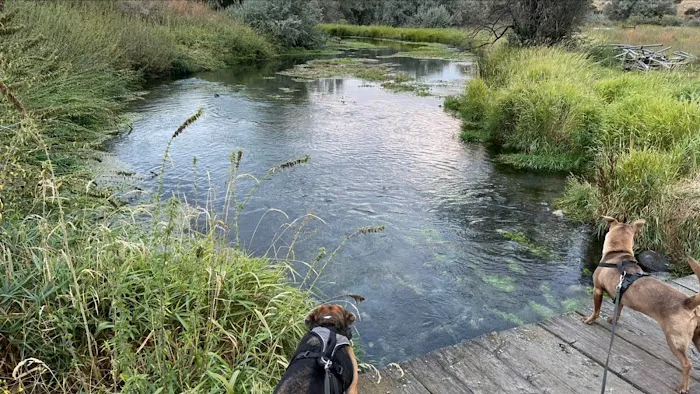 Batise Springs RV Park Picture 7